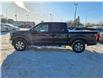 2020 Ford F-150 XLT in Kemptville - Image 4 of 17