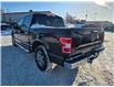 2020 Ford F-150 XLT in Kemptville - Image 15 of 17