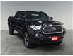 2019 Toyota Tacoma SR5 V6 (Stk: N26066A) in Sault Ste. Marie - Image 7 of 15 2019 Toyota Tacoma SR5 V6 (Stk: N26066A) in Sault Ste. Marie - Image 7 of 15