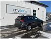 2024 Toyota RAV4 XLE (Stk: 260026) in Ottawa - Image 3 of 22