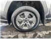 2024 Toyota RAV4 XLE (Stk: 260026) in Ottawa - Image 22 of 22