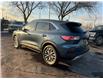 2020 Ford Escape Titanium Hybrid (Stk: TR30393) in Windsor - Image 4 of 27