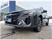 2023 Subaru Outback Onyx (Stk: T39164) in RICHMOND HILL - Image 10 of 30