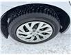 2019 Toyota Corolla LE (Stk: M6058) in Sarnia - Image 13 of 30