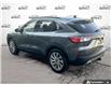 2022 Ford Escape Titanium Hybrid (Stk: 6S010A) in Oakville - Image 4 of 24