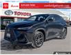 2025 Lexus NX 350h Base (Stk: 2601811) in Cambridge - Image 1 of 25