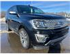 2020 Ford Expedition Platinum (Stk: A26064) in Hague - Image 2 of 13