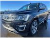 2020 Ford Expedition Platinum (Stk: A26064) in Hague - Image 4 of 13