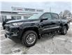2024 Chevrolet Colorado LT (Stk: 1131980T) in WHITBY - Image 1 of 47