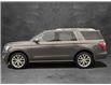 2019 Ford Expedition Platinum (Stk: N6065A) in Kamloops - Image 3 of 25