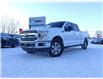 2019 Ford F-150 XLT in Ottawa - Image 1 of 9