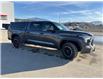 2023 Toyota Tundra SR5 (Stk: X011182A) in Cranbrook - Image 7 of 20