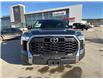2023 Toyota Tundra SR5 (Stk: X011182A) in Cranbrook - Image 8 of 20