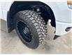 2023 RAM 1500 Sport (Stk: F132856X) in Cranbrook - Image 19 of 19