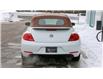 2016 Volkswagen Beetle 1.8 TSI Classic (Stk: V26021) in Waterloo - Image 8 of 18
