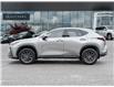 2023 Lexus NX 250 Base (Stk: 15105484A) in Richmond Hill - Image 4 of 28