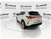 2023 Lexus NX 350  (Stk: 14111559A) in Markham - Image 7 of 29
