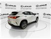 2023 Lexus NX 350  (Stk: 14111559A) in Markham - Image 9 of 29