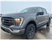 2023 Ford F-150 Tremor (Stk: U74663) in Hague - Image 4 of 13
