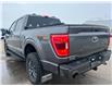 2023 Ford F-150 Tremor (Stk: U74663) in Hague - Image 6 of 13