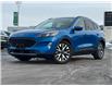 2020 Ford Escape Titanium Hybrid (Stk: PR76036A) in Windsor - Image 1 of 27