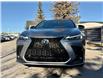 2024 Lexus NX 350 Base (Stk: 260369A) in Calgary - Image 4 of 19