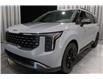 2026 Kia Carnival Hybrid SX+ (Stk: 26991) in Edmonton - Image 5 of 39