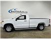 2024 Chevrolet Silverado 1500 Work Truck (Stk: 43458J) in Belleville - Image 4 of 25