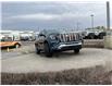 2026 GMC Terrain Denali (Stk: TL387278) in Calgary - Image 7 of 22