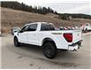 2026 Ford F-150 Tremor (Stk: 6T059) in Williams Lake - Image 3 of 13
