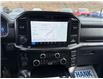 2026 Ford F-150 Tremor (Stk: 6T059) in Williams Lake - Image 12 of 13