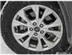 2024 Ford Escape Active (Stk: 5991A) in St. Thomas - Image 6 of 27