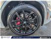 2024 BMW X4 M40i xDrive (Stk: ST-302A) in Calgary - Image 6 of 24