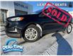 2019 Ford Edge SEL (Stk: CU3686A) in Claresholm - Image 1 of 24