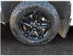 2022 Chevrolet Silverado 1500 LT Trail Boss (Stk: 351820) in Medicine Hat - Image 14 of 15 2022 Chevrolet Silverado 1500 LT Trail Boss (Stk: 351820) in Medicine Hat - Image 14 of 15