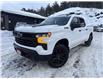 2024 Chevrolet Silverado 1500 LT Trail Boss (Stk: 14702) in Sudbury - Image 1 of 19