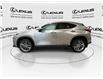 2024 Lexus NX 350h Base (Stk: 14111663A) in Markham - Image 6 of 29
