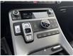 2023 Hyundai Palisade Ultimate Calligraphy (Stk: 16105216A) in Markham - Image 23 of 39