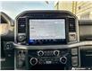 2026 Ford F-150 XLT (Stk: 260083) in Hamilton - Image 15 of 21
