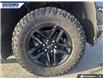 2022 Chevrolet Silverado 1500 LTD LT Trail Boss (Stk: P8725A) in Dartmouth - Image 7 of 24