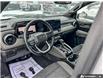 2024 Chevrolet Colorado ZR2 (Stk: T323A) in Grimsby - Image 14 of 26