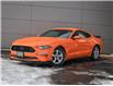 2021 Ford Mustang  (Stk: PO05608) in London - Image 1 of 27