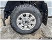 2023 Ford F-250 XLT (Stk: PS2154) in Grande Prairie - Image 9 of 24 2023 Ford F-250 XLT (Stk: PS2154) in Grande Prairie - Image 9 of 24