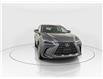 2026 Lexus NX 350h  (Stk: 15105534) in Richmond Hill - Image 2 of 20