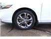 2023 Honda Accord EX (Stk: 2214052A) in Mississauga - Image 10 of 26 2023 Honda Accord EX (Stk: 2214052A) in Mississauga - Image 10 of 26