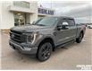 2021 Ford F-150 Lariat (Stk: 95373) in Sault Ste. Marie - Image 3 of 15