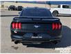 2018 Ford Mustang EcoBoost Premium (Stk: 95375X) in Sault Ste. Marie - Image 5 of 15
