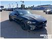 2018 Ford Mustang EcoBoost Premium (Stk: 95375X) in Sault Ste. Marie - Image 13 of 15