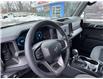 2026 Ford Bronco Big Bend (Stk: BR46748) in Windsor - Image 19 of 30
