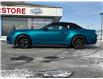 2026 Ford Mustang EcoBoost (Stk: MG12699) in Windsor - Image 2 of 29